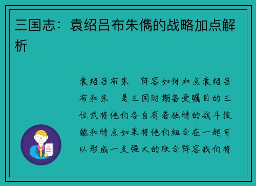 三国志：袁绍吕布朱儁的战略加点解析